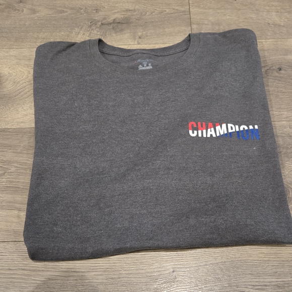 Champion Gray T-Shirt with Multicolor Logo - Picture 3 of 4
